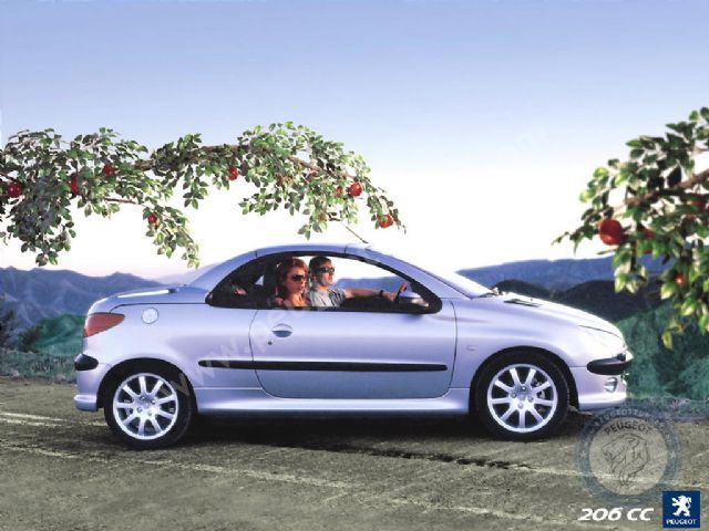 Peugeot 206