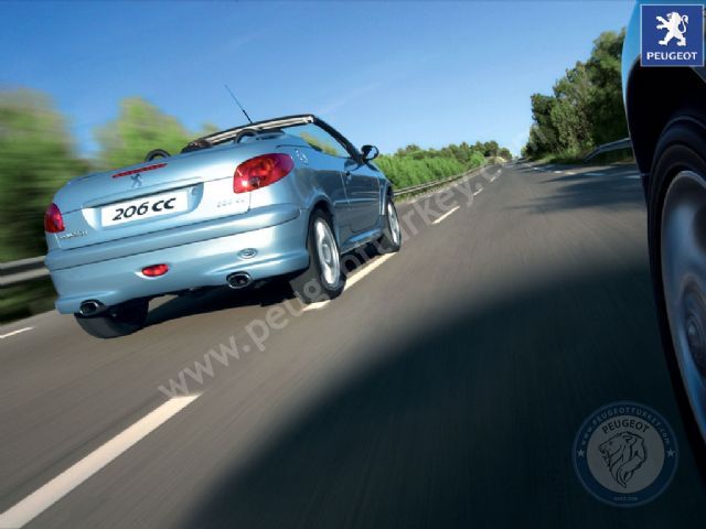 Peugeot 206