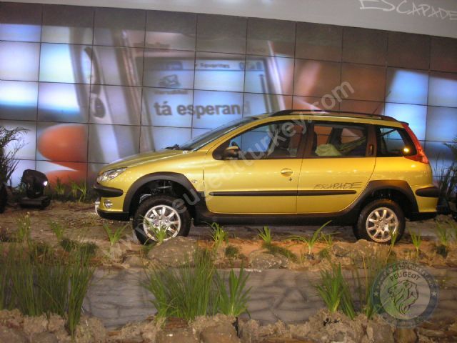 Peugeot 206