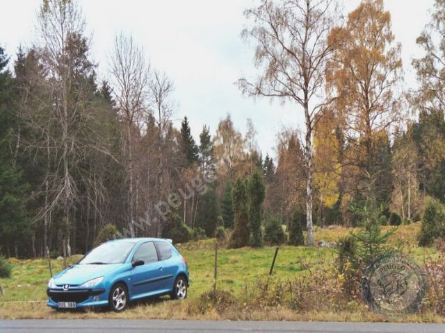 Peugeot 206