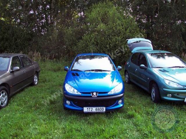 Peugeot 206