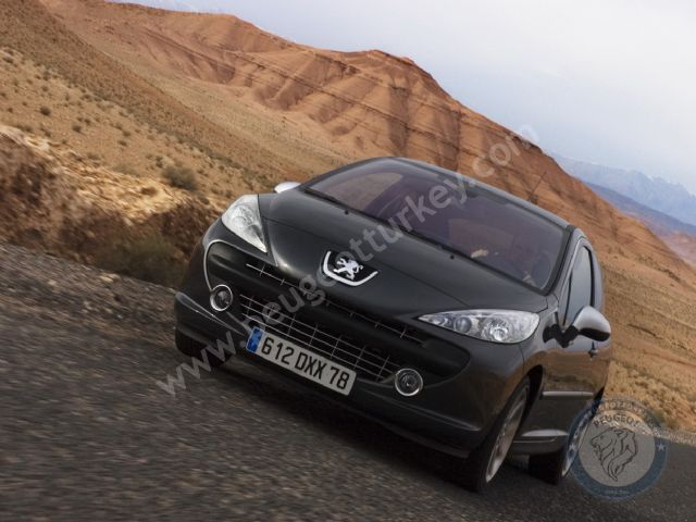 Peugeot 207