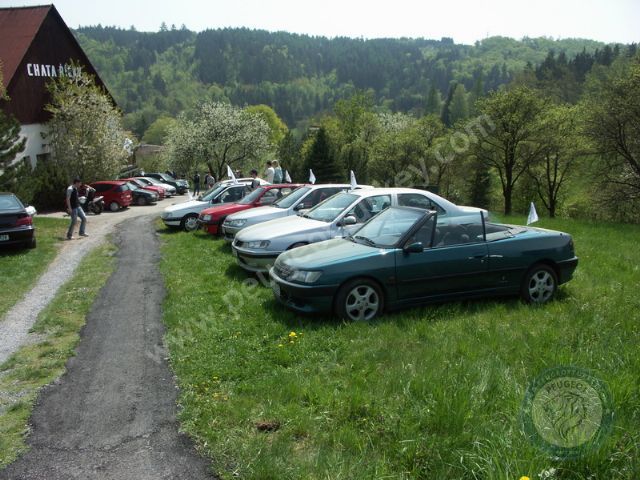 Peugeot 306