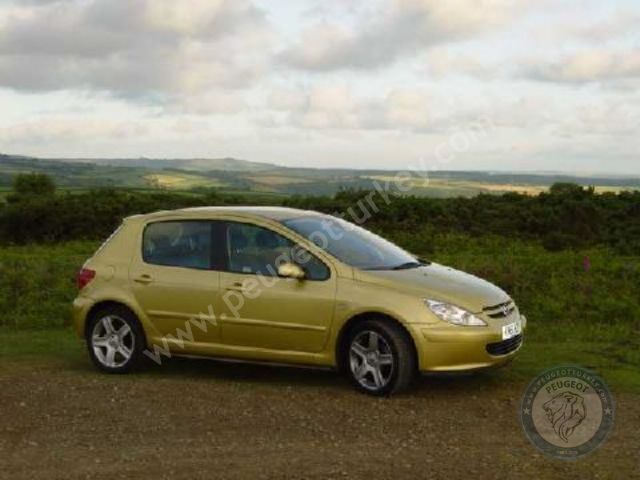 Peugeot 307