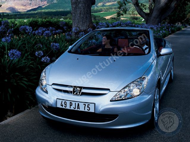 Peugeot 307