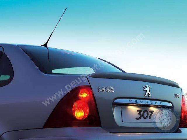 Peugeot 307