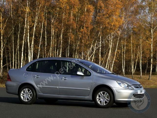 Peugeot 307