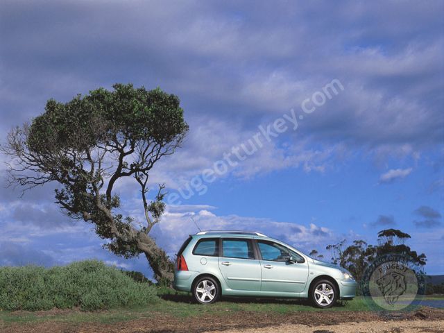 Peugeot 307