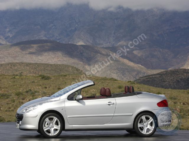 Peugeot 307