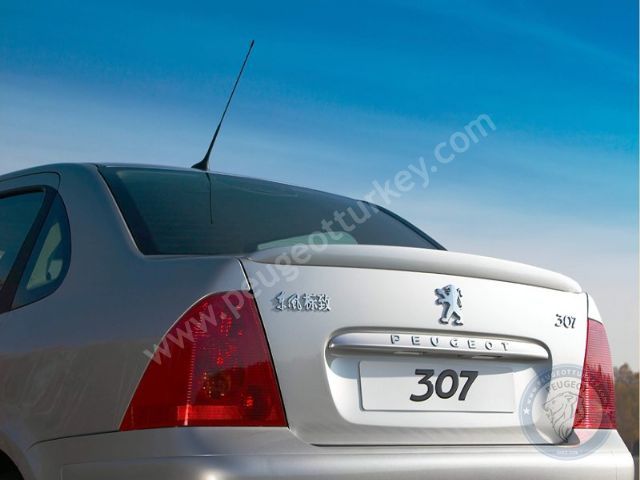 Peugeot 307