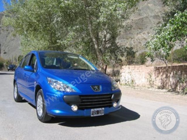 Peugeot 307