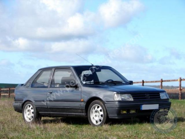 Peugeot 309