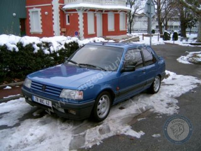 Peugeot 309