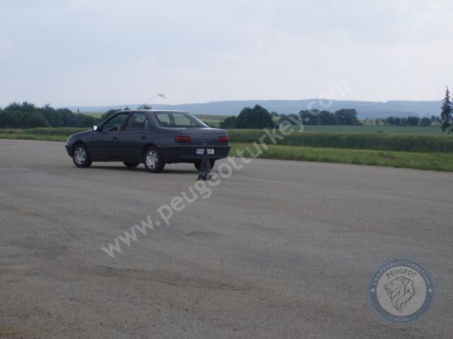 Peugeot 405