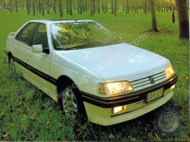 Peugeot 405