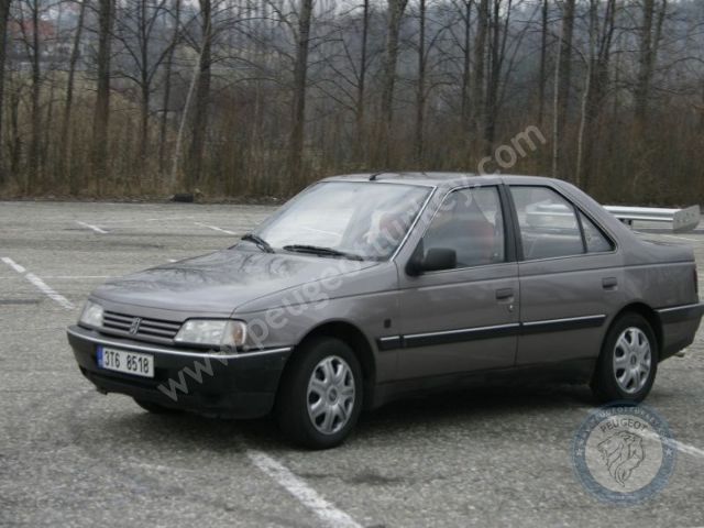 Peugeot 405