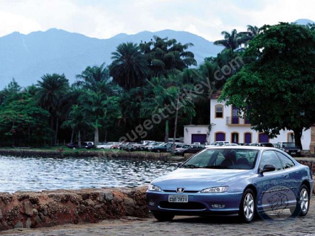 Peugeot 406