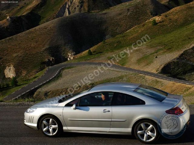 Peugeot 407