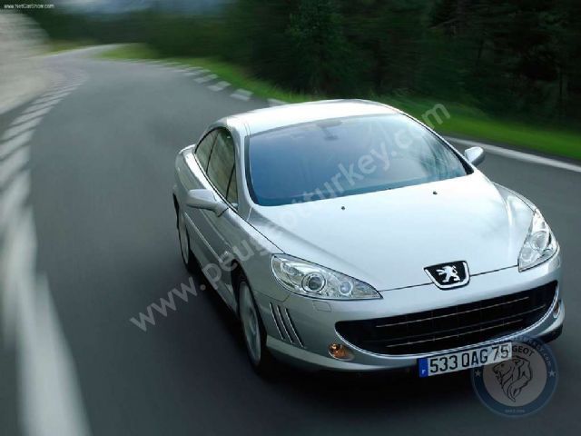 Peugeot 407