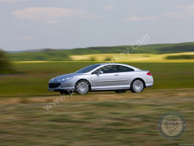 Peugeot 407