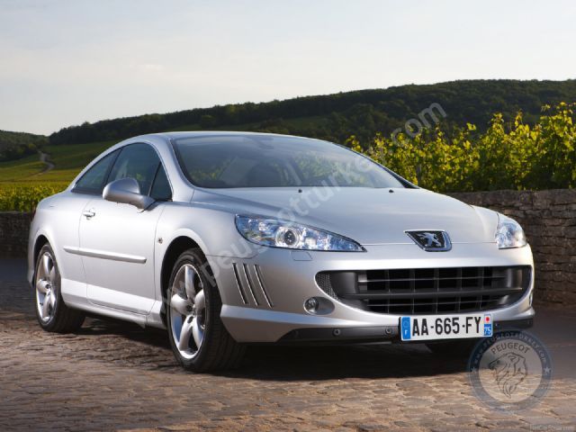 Peugeot 407