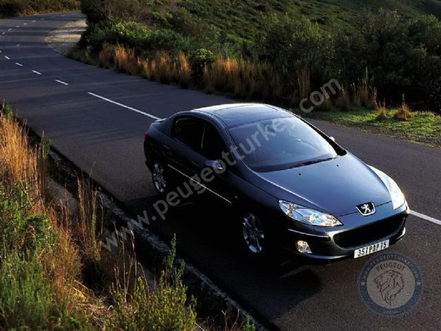 Peugeot 407