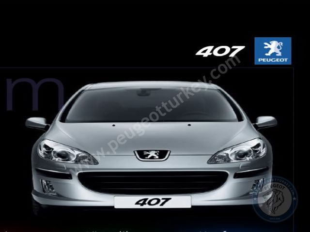 Peugeot 407