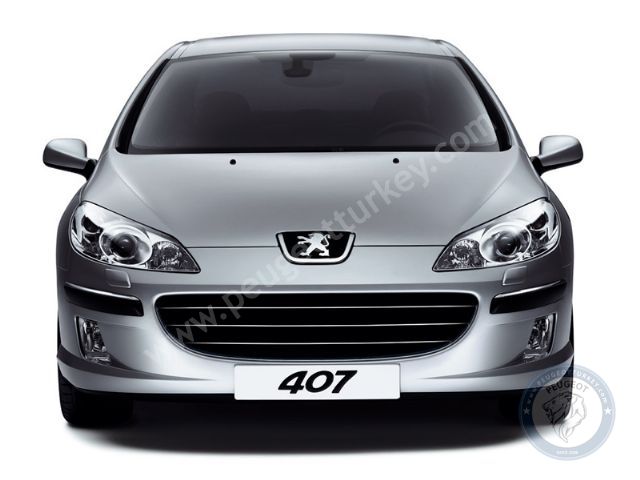 Peugeot 407