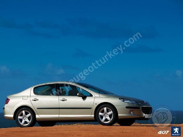 Peugeot 407