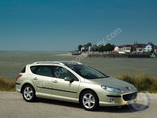 Peugeot 407