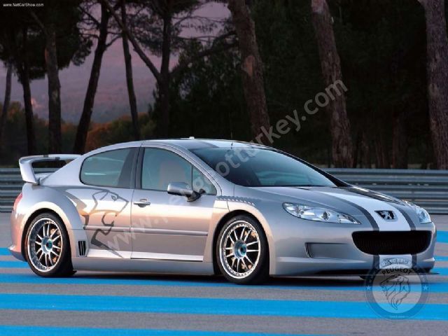 Peugeot 407