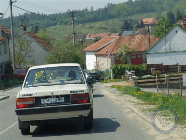 Peugeot 505