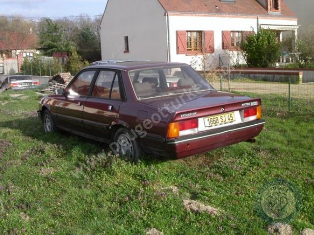 Peugeot 505