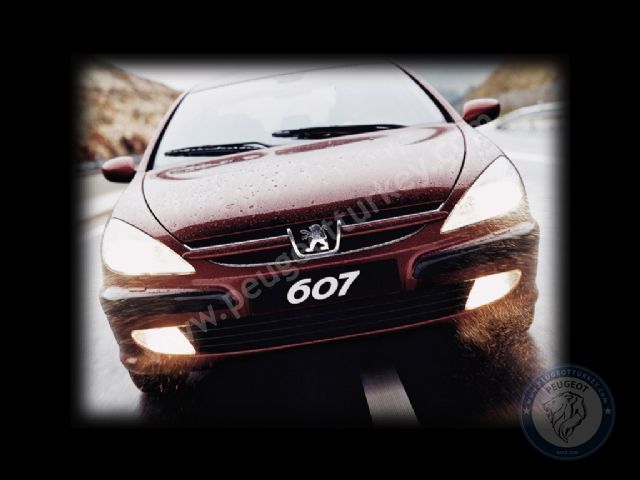 Peugeot 607